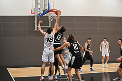 Basketball Zweite Liga 2024/25,Grunddurchgang
14.Runde, Upper Austrian Ballers vs Raiders Tirol,

