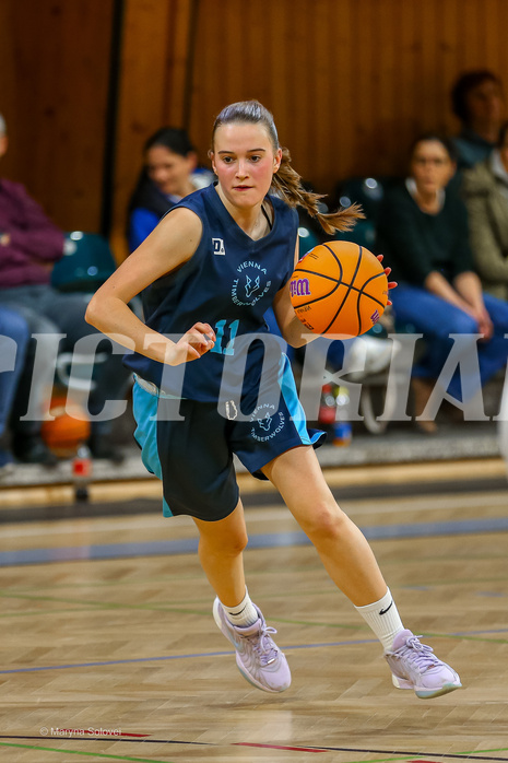 01.12.2024 Österreichischer Basketballverband 2024/25, SLWU19, Vienna United vs. Vienna Timberwolves