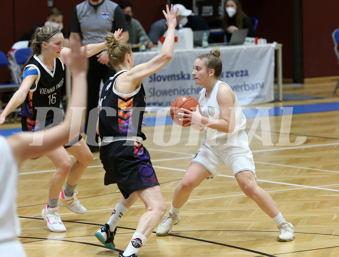 Basketball Basketball