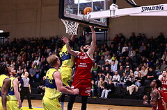 31.01.2025, Graz, Raiffeisen Sportpark Graz, Basketball Superliga 2024/25, Grunddurchgang, Runde 19, UBSC Graz - BC Vienna