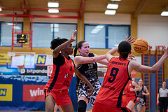 Basketball Superliga 2024/25, SLMU16 Traiskirchen Lionesses vs. VKL Vikings Kammer


