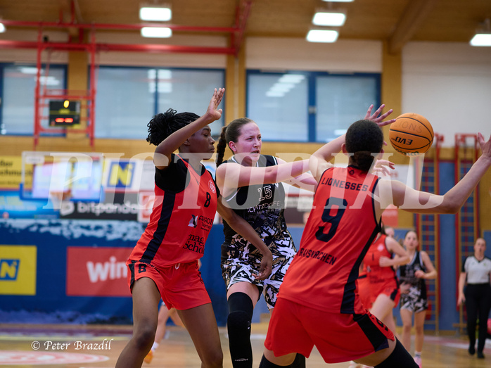 Basketball Superliga 2024/25, SLMU16 Traiskirchen Lionesses vs. VKL Vikings Kammer


