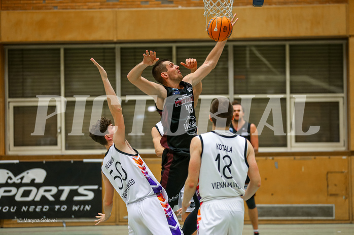 Basketball Zweite Liga 2024/25, Grunddurchgang 11.Runde Vienna United vs. Mistelbach Mustangs