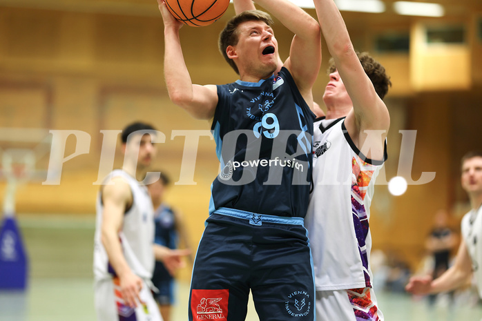Basketball Zweite Liga 2024/25, Grunddurchgang 22.Runde Vienna United vs. Vienna Timberwolves