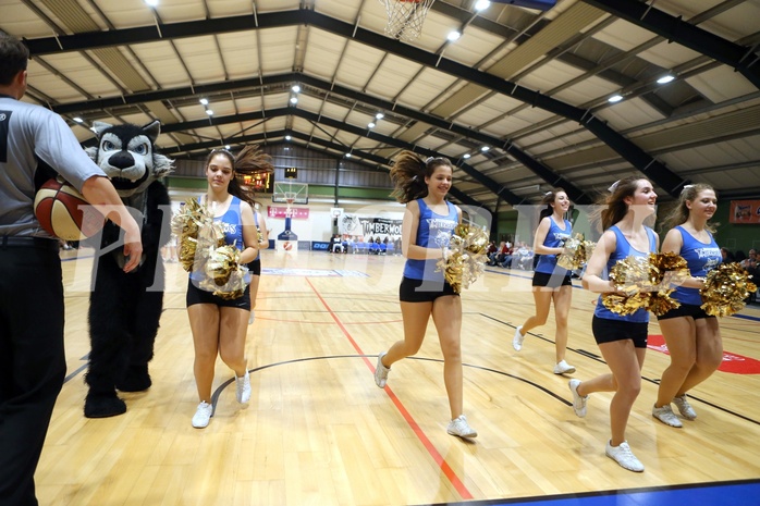 Basketball 2.Bundesliga 2016/17, Grundurchgang 5.Runde D.C. Timberwolves vs. KOS Celovec


