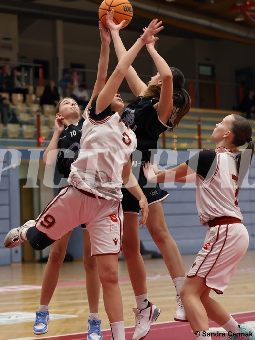 Basketball Superliga 2024/25, SLWU14 Traiskirchen Lionesses vs. ATUS Gratkorn Scorpions


