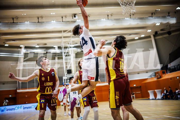 Basketball, Basketball Zweite Liga 2024/25, Grunddurchgang 20.Runde, Vienna Timberwolves, Traiskirchen Lions NexGen, Ivor Kuresevic (44)