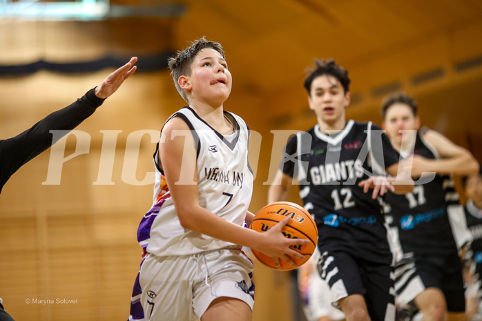 12.01.2025 Österreichischer Basketballverband 2024/25, SLMU14, SU Döbling vs Vienna Giants