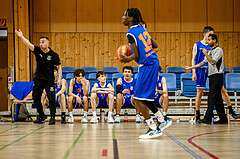 06.04.2025 Österreichischer Basketballverband 2024/25, SLMU16, Post SV Wien vs. BBU Salzburg
