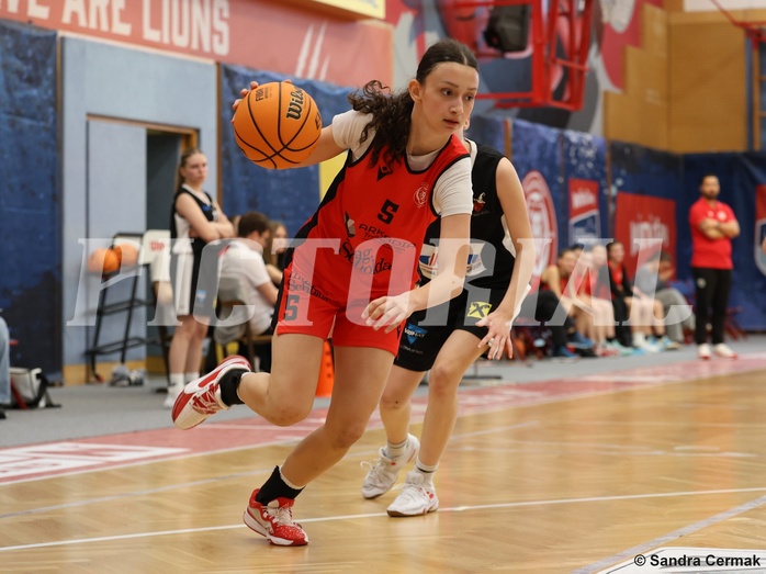 Basketball Superliga 2024/25, SLWU16 Traiskirchen Lionesses vs. DBK Steyrer Witch Cadets


