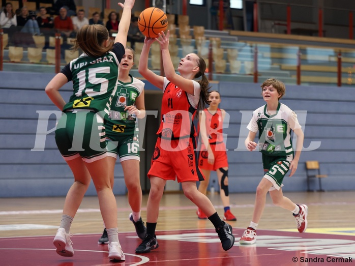 Basketball Superliga 2024/25, SLWU14 Traiskirchen Lionesses vs. UBI Graz


