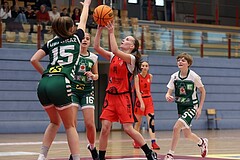 Basketball Superliga 2024/25, SLWU14 Traiskirchen Lionesses vs. UBI Graz


