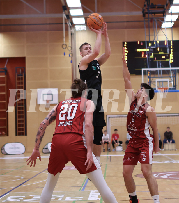 Basketball Zweite Liga 2024/25, Grunddurchgang 21.Runde Mistelbach Mustangs vs. Raiders Tirol