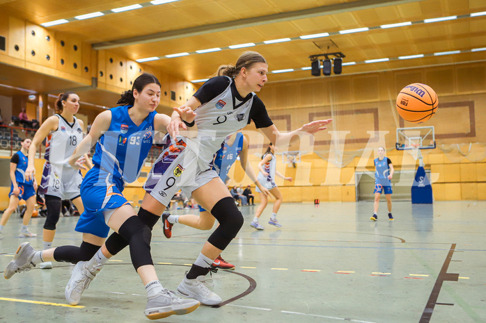 Basketbal lAustria Cup 2024/25, Viertelfinale Vienna United vs. DBB Wels


