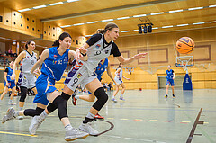 Basketbal lAustria Cup 2024/25, Viertelfinale Vienna United vs. DBB Wels


