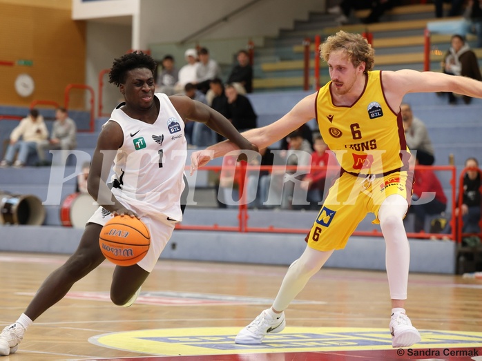 Basketball Zweite Liga 2024/25, Grunddurchgang 17.Runde Traiskirchen Lions NextGen vs. Raiders Tirol


