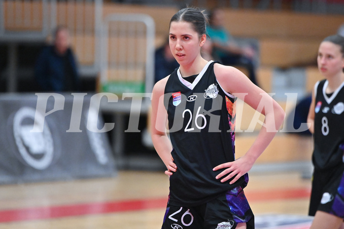 Basketball Superliga 2024/25, Grunddurchgang 9.Runde, DBB Wels vs Vienna United,

