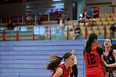 Basketball Superliga 2024/25, SLMU16 Traiskirchen Lionesses vs. VKL Vikings Kammer



