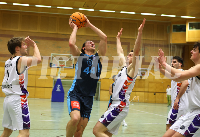 Basketball Zweite Liga 2024/25, Grunddurchgang 22.Runde Vienna United vs. Vienna Timberwolves


