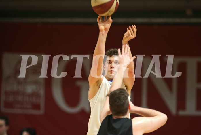 Basketball 2.Bundesliga 2016/17, Grundurchgang 12.Runde D.C. Timberwolves vs. Mistelbach Mustangs


