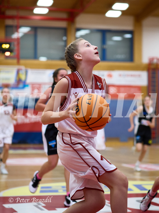 Basketball Superliga 2024/25, SLWU14 Traiskirchen Lionesses vs. DBK Steyrer Witches


