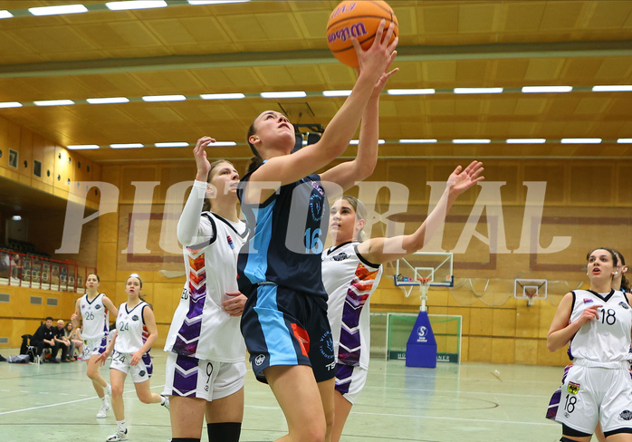 Basketball Damen Superliga 2024/25, Grunddurchgang 6.Runde Vienna United vs. Vienna Timberwolves


