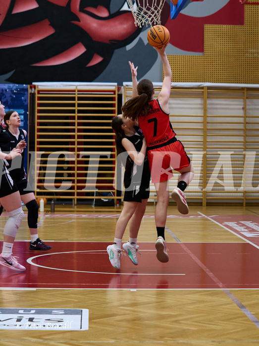 Basketball Superliga 2024/25, SLWU16 Traiskirchen Lionesses vs. BBC Nord Dragons


