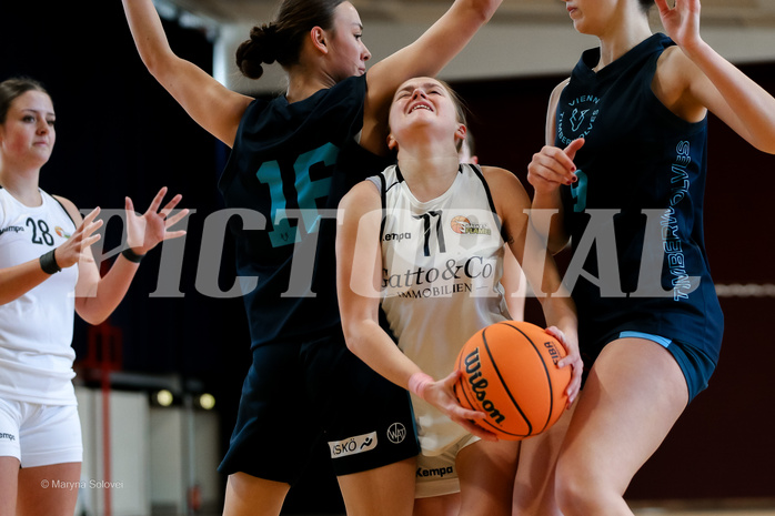 15.02.2025 Österreichischer Basketballverband 2024/25, SLWU19, Basket Flames UNION vs. Vienna Timberwolves