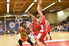 Basketball Superliga 2019/20, Grunddurchgang 17. Runde Flyers Wels vs. UBSC Graz
