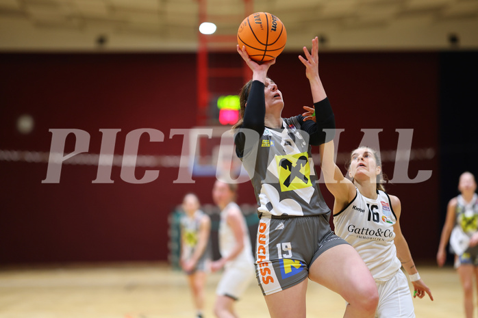 Basketball Damen Superliga 2023/24, Grunddurchgang, 13 Runde Basket Flames vs. Duchess Klosterneuburg


