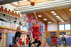 Basketball Superliga 2024/25, SLMU16 Traiskirchen Lionesses vs. VKL Vikings Kammer


