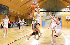 Basketball Damen Superliga 2023/24, Grunddurchgang .Runde Basket Flames vs. Duchess Klosterneuburg



