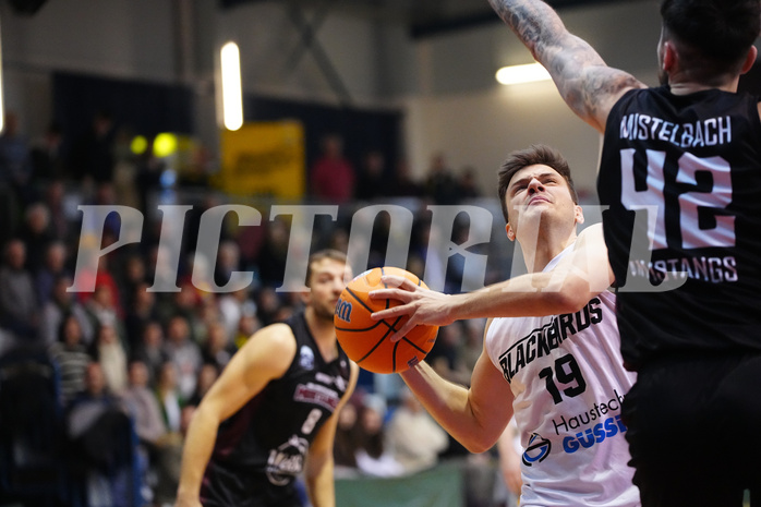 Basketball 2. Liga 2024/25, Grunddurchgang 20.Runde , Güssing vs. Mistelbach