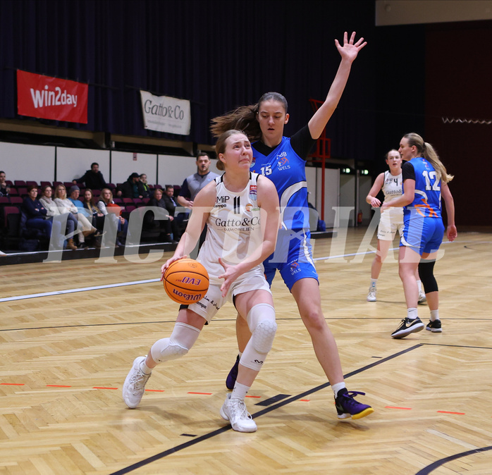 Basketball Damen Superliga 2023/24, Grunddurchgang 11.Runde Basket Flames vs. DBB Wels


