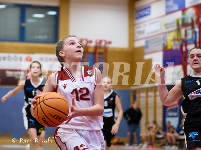 Basketball Superliga 2024/25, SLWU14 Traiskirchen Lionesses vs. DBK Steyrer Witches


