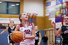 Basketball Superliga 2024/25, SLWU14 Traiskirchen Lionesses vs. DBK Steyrer Witches


