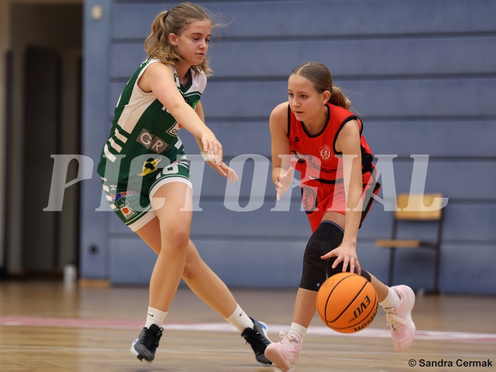 Basketball Superliga 2024/25, SLWU14 Traiskirchen Lionesses vs. UBI Graz


