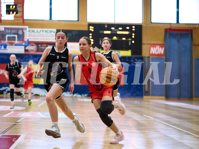 Basketball Superliga 2024/25, SLWU14 Traiskirchen Lionesses vs. Gratkorn Scorpions


