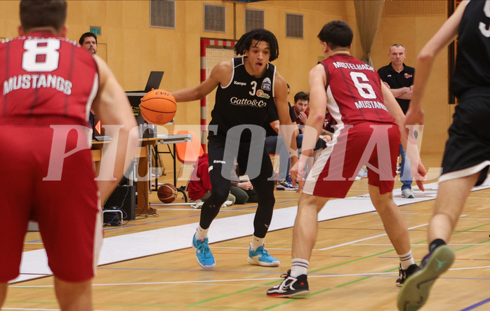 Basketball Zweite Liga 2023/24, Grunddurchgang 19.Runde Mistelbach Mustangs vs. Basket Flames
Basketball Zweite Liga 2023/24, Grunddurchgang 19.Runde Mistelbach Mustangs vs. Basket Flames