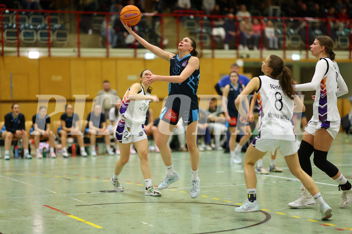 Basketball Damen Superliga 2024/25, Grunddurchgang 6.Runde Vienna United vs. Vienna Timberwolves


