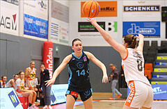 Basketball Damen Superliga 2024/25, Grunddurchgang 5.Runde BK Duchess Klosterneuburg vs. Vienna Timberwolves


