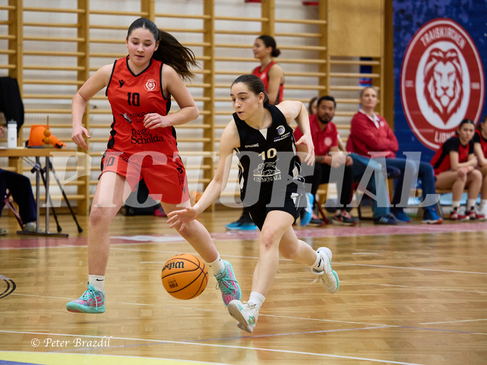 Basketball Superliga 2024/25, SLWU16 Traiskirchen Lionesses vs. BBC Nord Dragons


