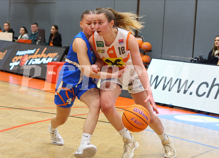 Basketball Damen Superliga 2024/25, 12.Runde BK Duchess Klosterneuburg vs. DBB Wels


