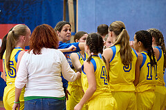 Basketball Superliga 2024/25, SLWU16 Traiskirchen Lionesses vs. UBBC Herzogenburg


