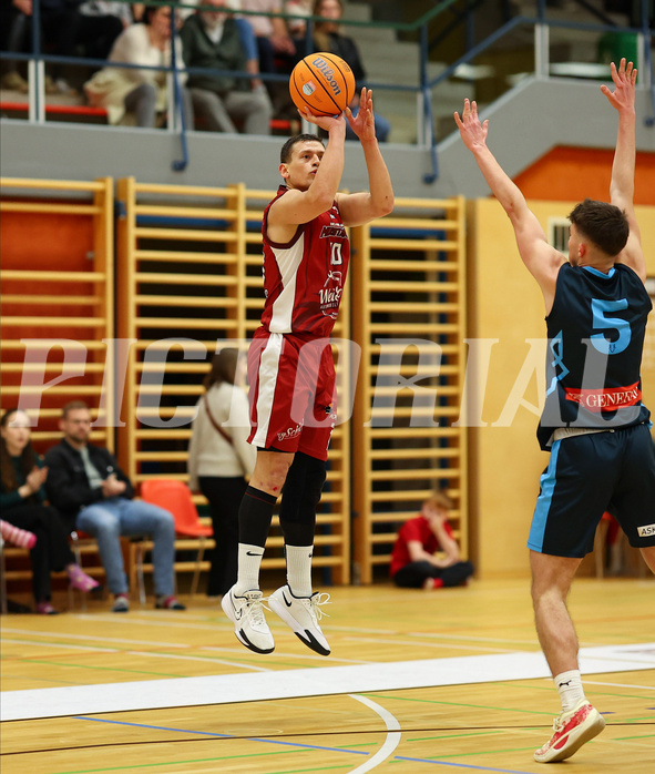 Basketball Zweite Liga 2024/25, Grunddurchgang 15.Runde Mistelbach Mustangs vs. Vienna Timberwolves