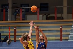 Basketball Zweite Liga 2024/25, Grunddurchgang 8.Runde Traiskirchen Lions NextGen vs. BBU Salzburg