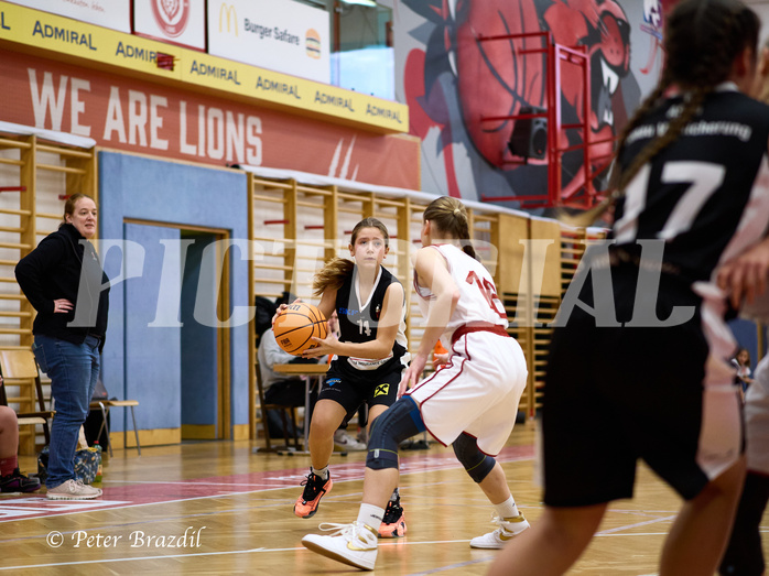 Basketball Superliga 2024/25, SLWU14 Traiskirchen Lionesses vs. DBK Steyrer Witches


