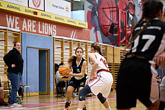 Basketball Superliga 2024/25, SLWU14 Traiskirchen Lionesses vs. DBK Steyrer Witches


