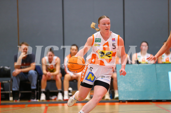 Basketball Damen Superliga 2024/25, Grunddurchgang 5.Runde BK Duchess Klosterneuburg vs. Vienna Timberwolves


