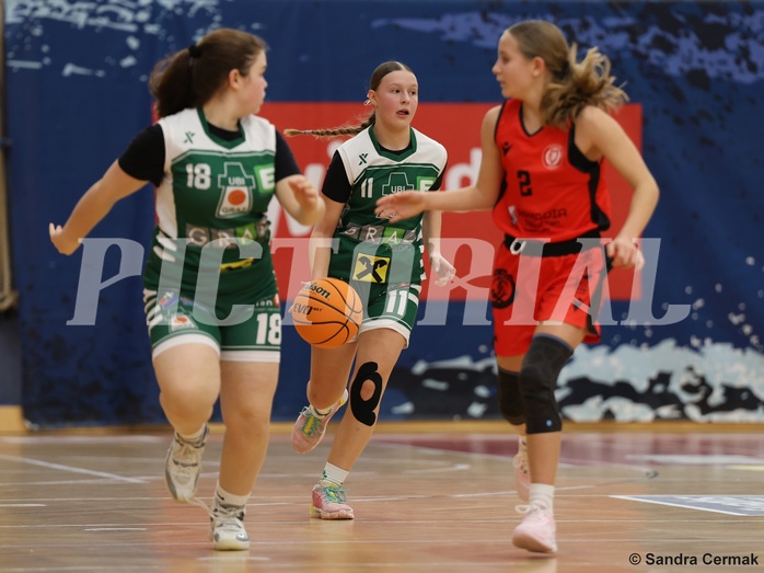Basketball Superliga 2024/25, SLWU14 Traiskirchen Lionesses vs. UBI Graz


